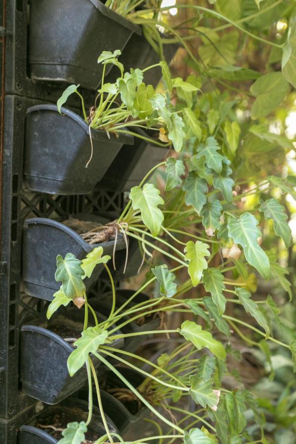 Avanti Tenantry-Luxurious Service Apartments Nueva Delhi Exterior foto